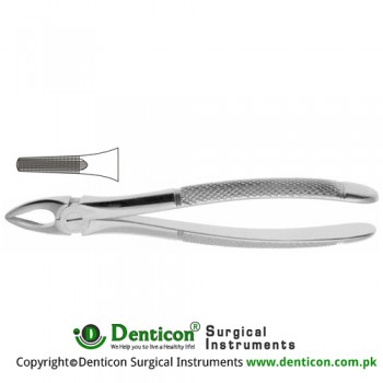 English Pattern Tooth Extracting Forcep Fig. 29S (For Upper Roots; Small Beaks) Stainless Steel, Standard
